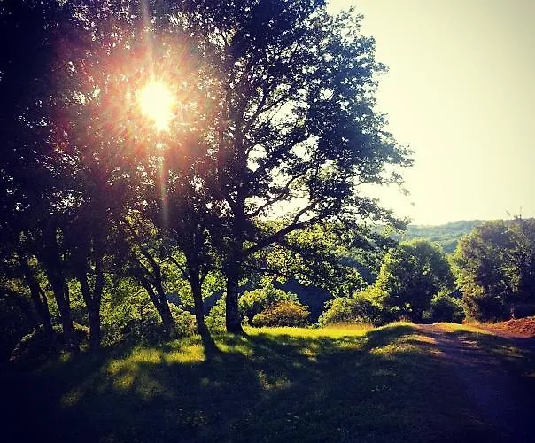 D'hotes C De C 3* Sauliac-sur-Célé